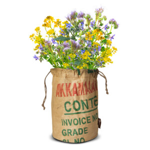 Baza Bio Wildbloemen Met Insectenhotel Geel - 10.49 euro