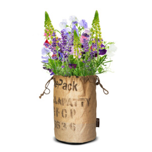 Baza Bio Wildbloemen Met Insectenhotel Paars - 10.49 euro