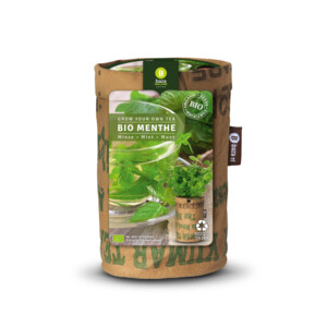 Baza Tea Garden Bio Munt - 5.15 euro