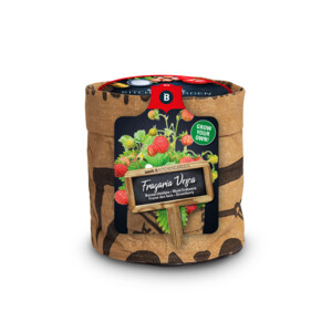 Baza Keukentuintje Bio Bosaardbei - 4.59 euro