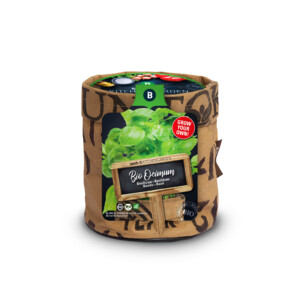 Baza Keukentuintje Bio Basilicum Genovese - 4.59 euro