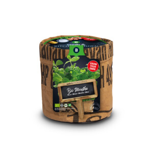 Baza Keukentuintje Bio Munt - 4.59 euro