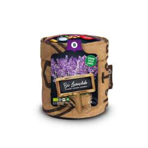 Baza Keukentuintje Bio Lavendel - 4.59 euro