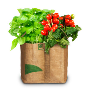 Baza Duo-Tuintje Caprese Bio Tomaat En -Basilicum - 5.65 euro