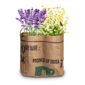 Baza Duo-Tuintje Thee Bio Kamille En -Lavendel - 5.65 euro