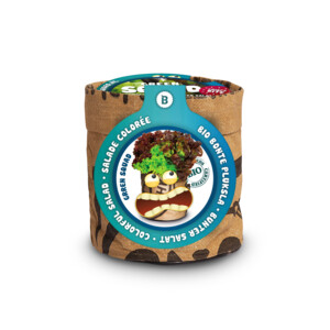 Baza Kindertuintje Greensquad Knapperige Sla - 4.75 euro