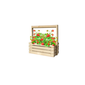 Baza Fresh Farm Bosaardbei Rood - 7.45 euro