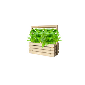 Baza Fresh Farm Basilicum - 7.45 euro