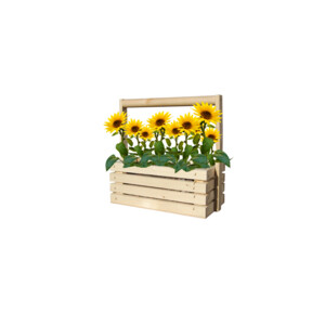 Baza Fresh Farm Zonnebloem Mini - 7.45 euro