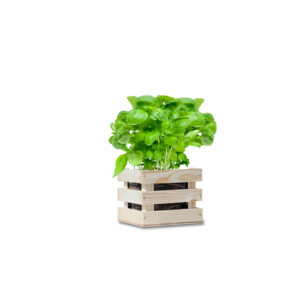 Baza Garden Box Bio Basilicum - 6.25 euro