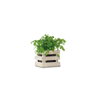 Baza Garden Box Bio Koriander - 6.25 euro