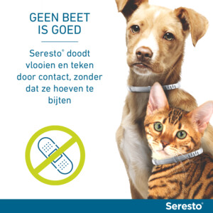 Seresto Anti Vlooien en Teken Halsband Kat Tot 8 kg 2-pack - 68.49 euro