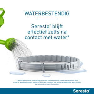 Seresto Anti Vlooien en Teken Halsband Hond Tot 8 kg 2-pack 38 cm