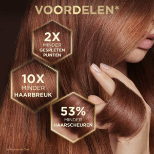 Garnier Loving Blends Honing Goud Haarmasker - 8.99 euro