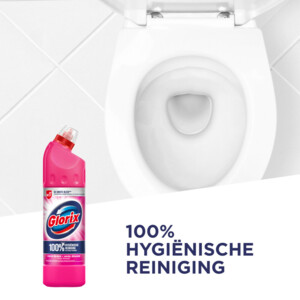 Glorix Bleek Pink Power - 2.29 euro