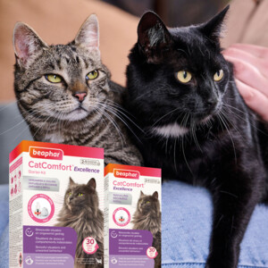 Beaphar CatComfort Excellence Navulling Verdamper 48 ml