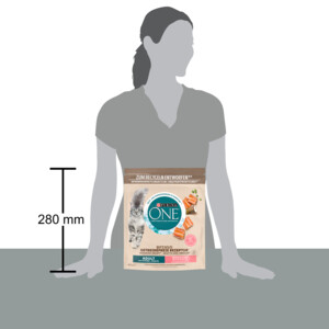 Purina ONE Adult Zalm Graanvrij 600 gr