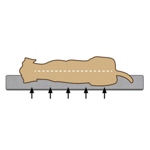 Beeztees Orthopedisch Benchkussen Ito Grijs - 59.99 euro