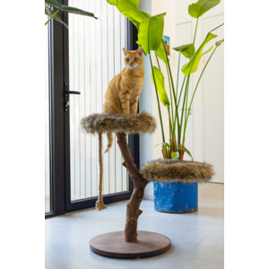 Designed by Lotte Krabmeubel Hout Aviva 50 x 50 x 68 cm