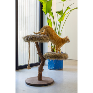 Designed by Lotte Krabmeubel Hout Aviva 50 x 50 x 68 cm