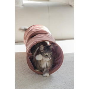 Designed by Lotte Kattentunnel Cylla Roze - 18.99 euro