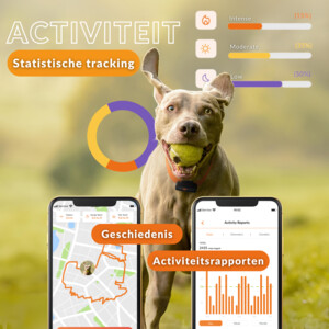 Weenect Gps Tracker Dog Black 