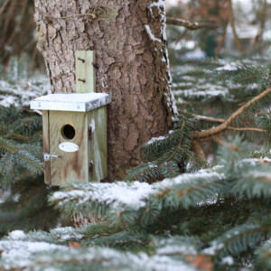 Esschert Design Nestkast Winterkoning Naturel - 9.25 euro