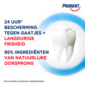 12x Prodent Tandpasta Cool Mint - 11.95 euro