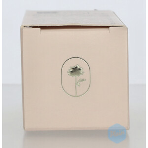 Babor Skinovage Moisturizing Serum - 41.25 euro