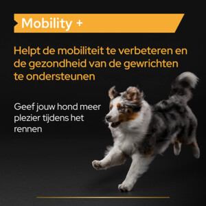 Pro Plan Supplement Poeder voor Honden Mobility+ 60 gr