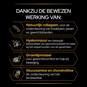Pro Plan Supplement Poeder voor Honden Mobility+ 60 gr