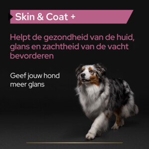 Pro Plan Honden Supplement Olie Skin & Coat 250 gr