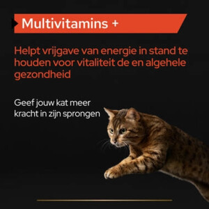 Pro Plan Supplement Poeder voor Katten Multivitamine 60 gr