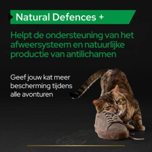 Pro Plan Supplement Poeder voor Katten Natural Defence 60 gr