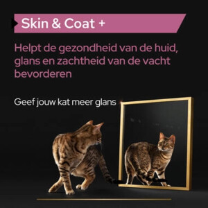 Pro Plan Katten Supplement Olie Skin & Coat 150 gr