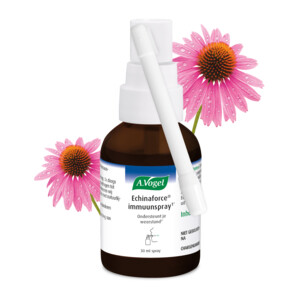 A.Vogel Echinaforce Immuunspray - 6.79 euro