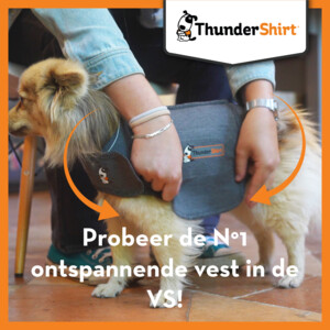 Thundershirt Hond Small >6 - 11 kg 