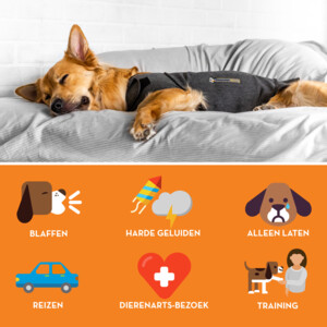 Thundershirt Hond Small >6 - 11 kg 