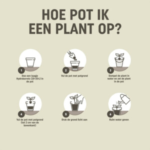 Pokon Potgrond Universeel - 2.99 euro