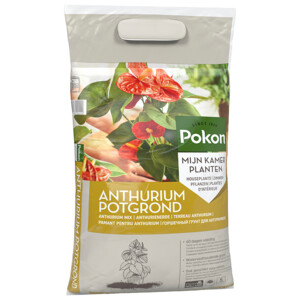Pokon RHP Anthurium Potgrond Anthurium - 5.99 euro