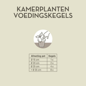 Pokon Kamerplanten Voedingskegels - 3.79 euro