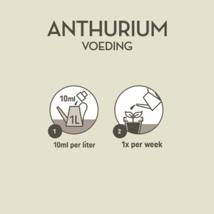 Pokon Planten Voeding Anthurium - 5.59 euro