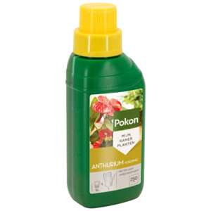 Pokon Planten Voeding Anthurium - 5.59 euro