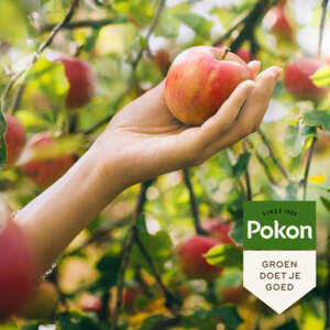 Pokon Biologische Mest Fruitbomen - 8.79 euro