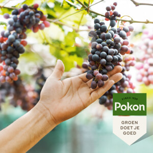 Pokon Druiven Mest - 7.89 euro
