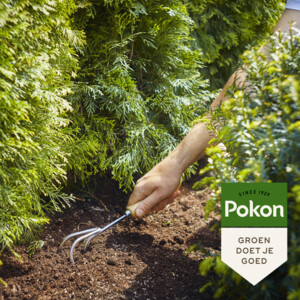 Pokon Conifeer & Taxus Mest - 6.15 euro