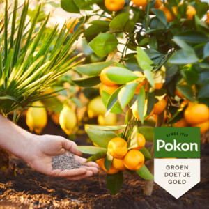 Pokon Mediterrane Planten Mest - 7.12 euro