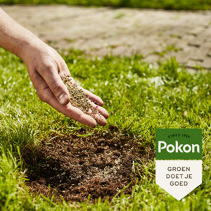 Pokon Kale Plekken Hersteller - 6.79 euro