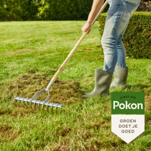6x Pokon Graszaad Herstel - 104.49 euro