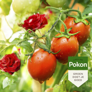 Pokon Tegen Insecten Spray Polysect GYO Spray Biologisch - 15.15 euro